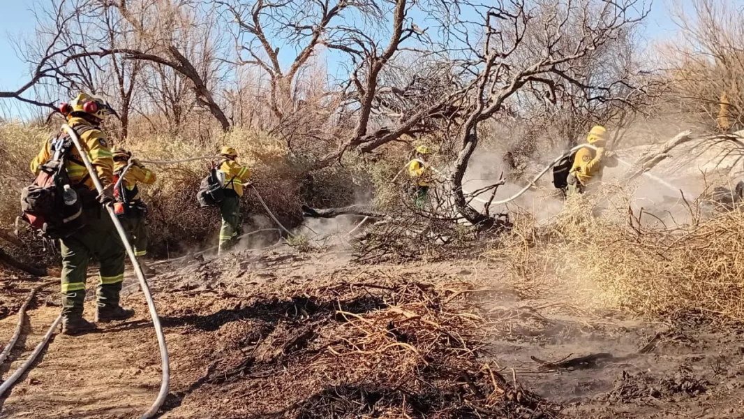 21009-los-equipos-de-combate-contra-incendios-forestales-continuan-trabajando-en-cafayate