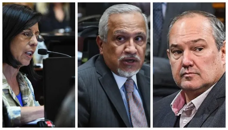 senadores ley bases