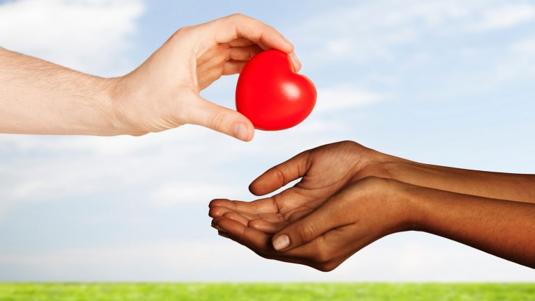 donacion de organos