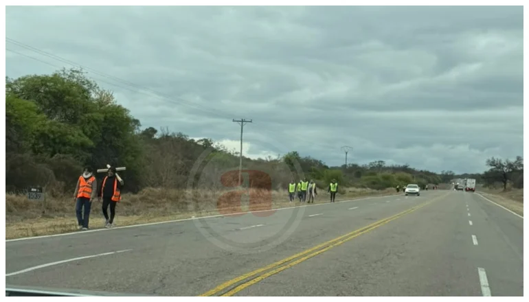 PEREGRINOS EN RUTA (3)