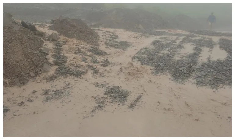 RUTA PAYOGASTA CRECIDA