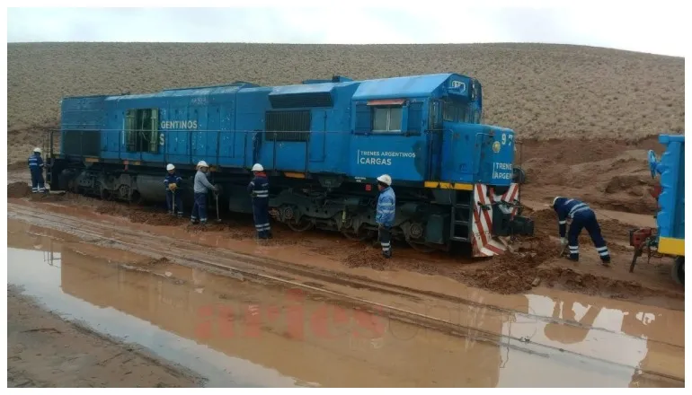 WhatsApp Image 2025-03-06 at 10.58.32