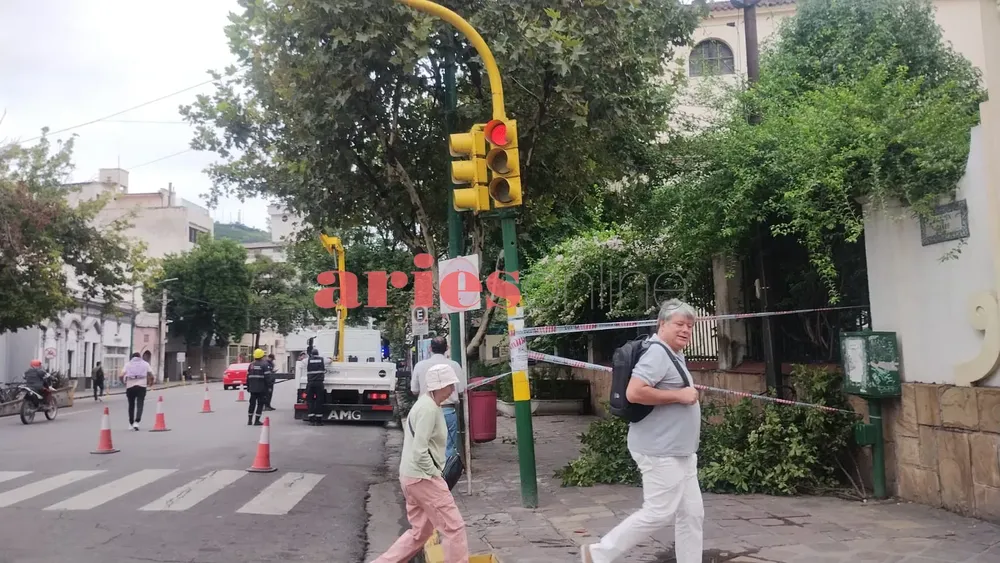 WhatsApp Image 2025-01-29 at 09.05.32