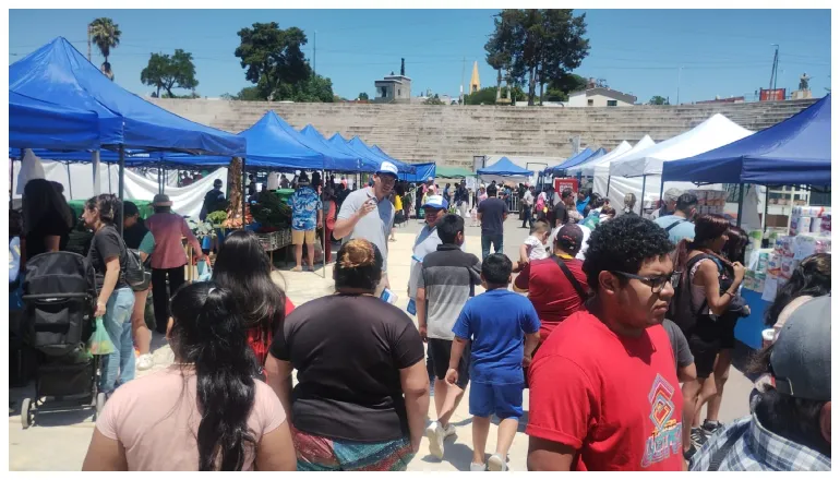 el mercado en tu barrio plaza españa