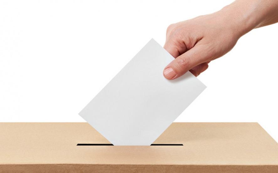 elecciones