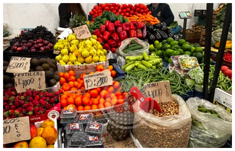 MERCADO SAN MIGUEL (2)