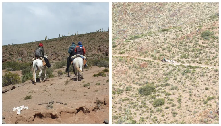 escuela los cardones