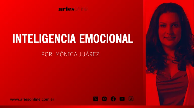 Martes (4)