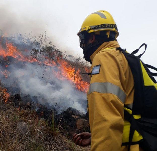 84460-la-brigada-forestal-se-sumara-a-las-tareas-de-sofocamiento-en-los-incendios-forestales-en-colonia-santa-rosa