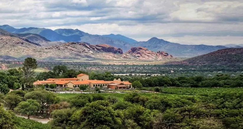 Bodega Molinos