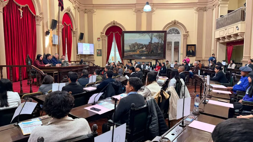 22778-jovenes-saltenios-participaron-de-una-jornada-de-formacion-legislativa-y-simulacion-parlamentaria