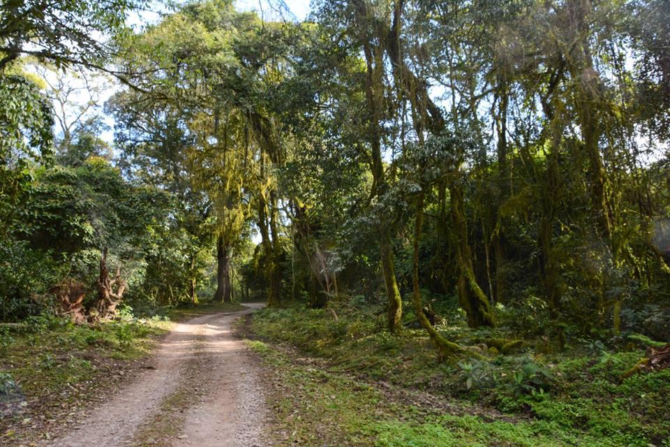 69640383_2381207795250077_8639762775343628288_n