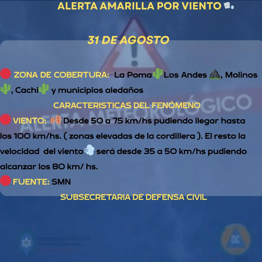 WhatsApp Image 2025-08-31 at 08.55.18