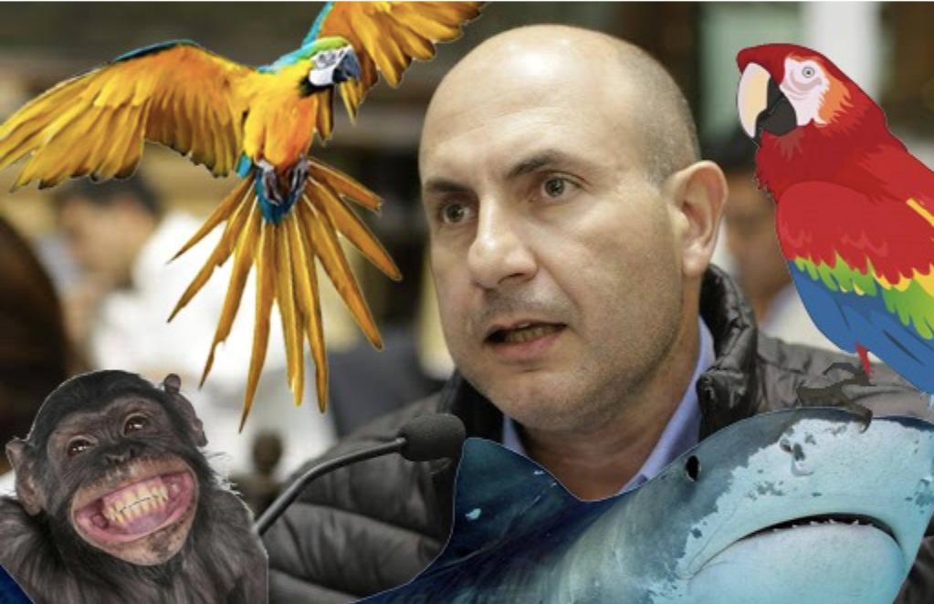 WhatsApp Image 2021-09-07 at 12.17.15