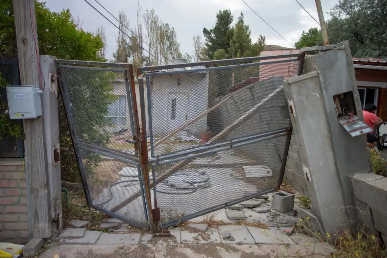 WhatsApp Image 2026-01-18 at 12.29.55