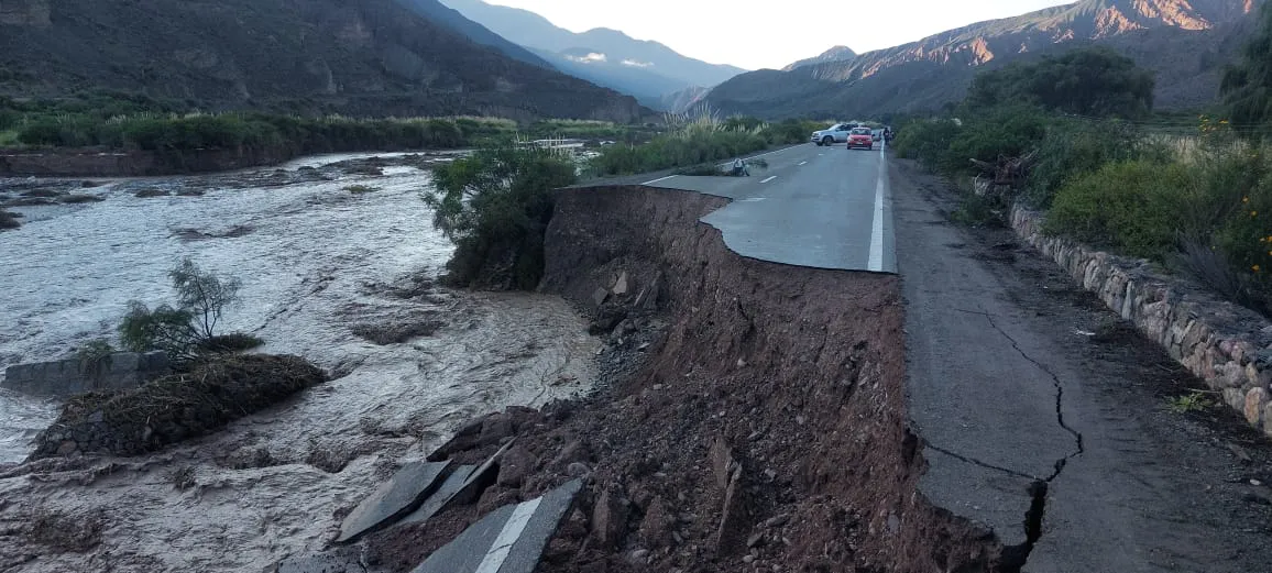 WhatsApp Image 2025-03-12 at 08.49.47