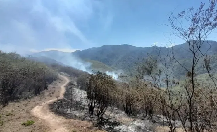 Incendio Cerro Elefante