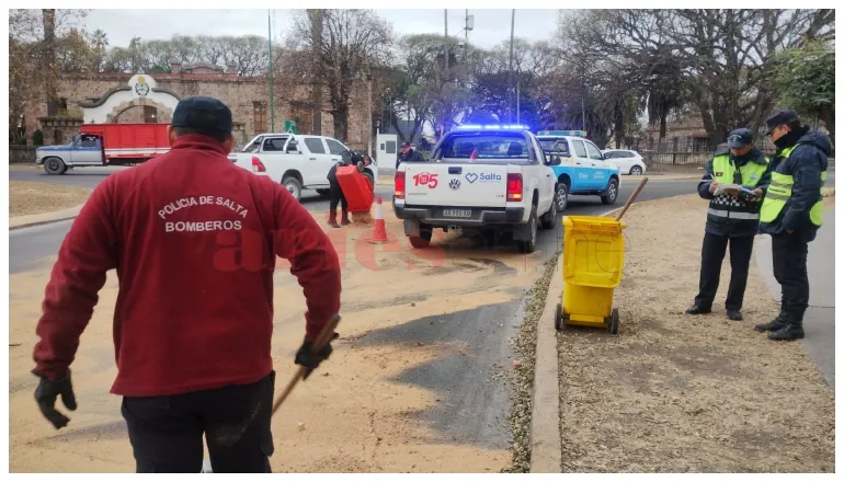 aserrín av sarmiento (3)