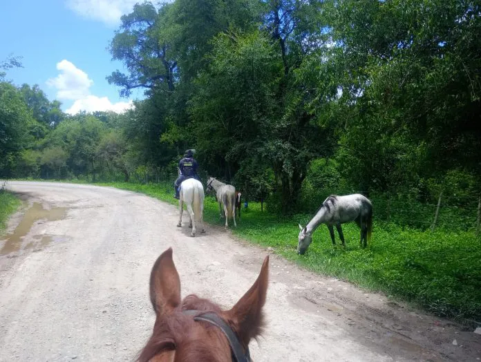 WhatsApp-Image-2026-01-05-at-11.59.34-696x524