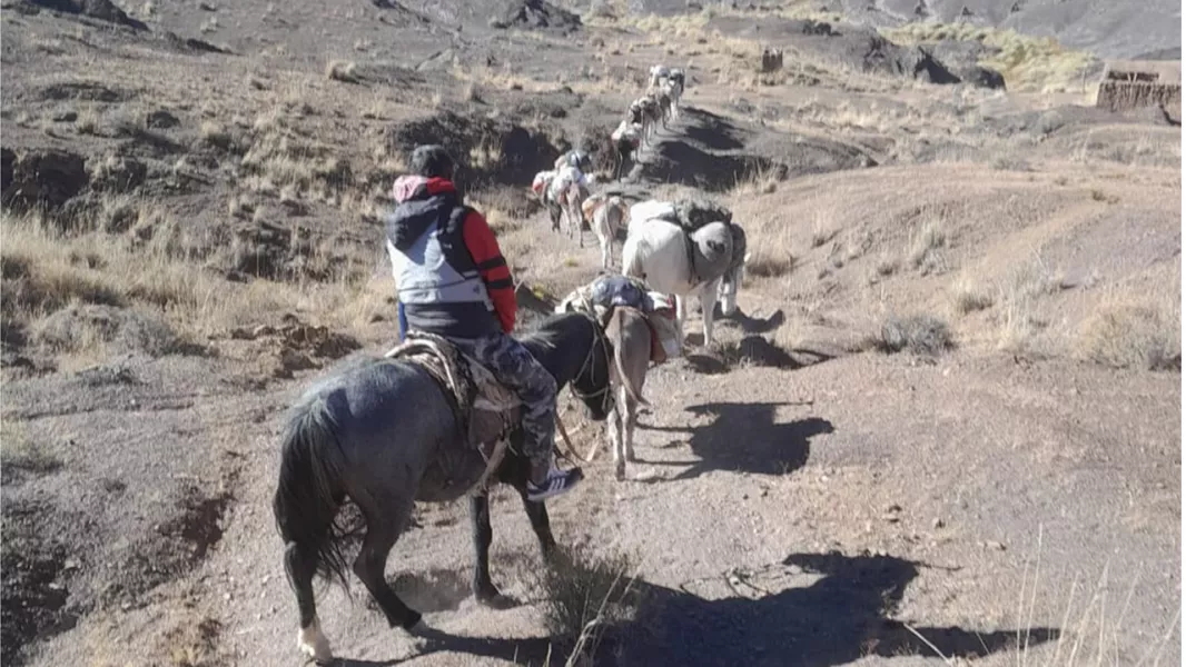 17642-desarrollo-social-llevo-asistencia-a-comunidades-aisladas-de-la-quebrada-del-toro