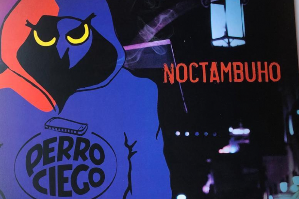 perro-20ciego-203