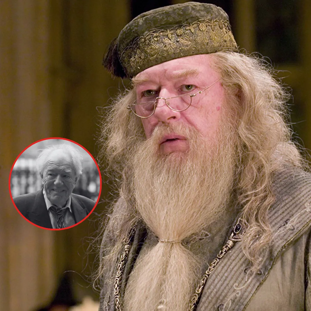 dumbledore primer actor