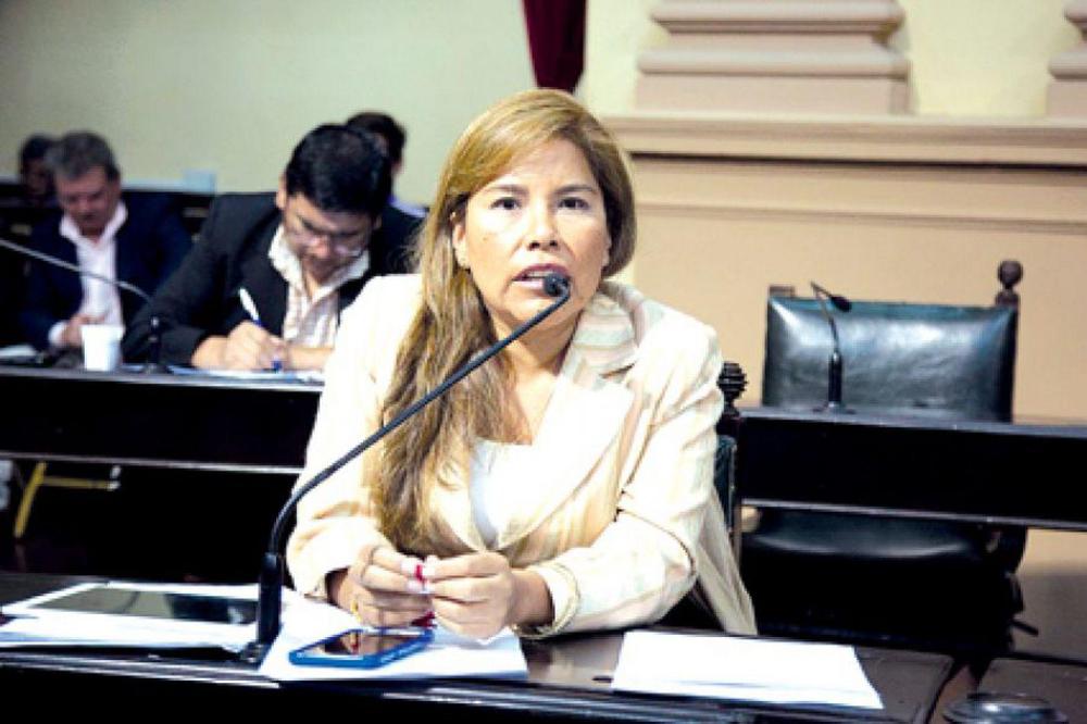 3718-liliana-guitian-quiero-representar-a-la-mujer-y-a-los-saltenios-en-el-congreso