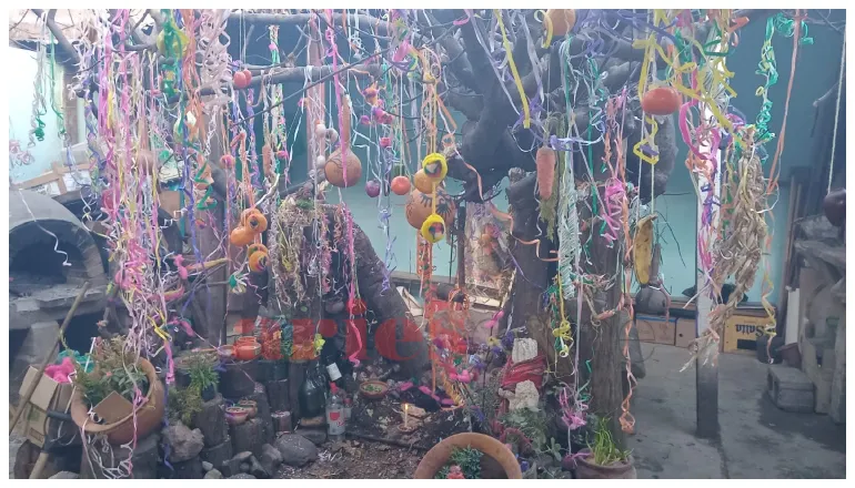 Rafaela centro de residentes vallistos 2025 (2)