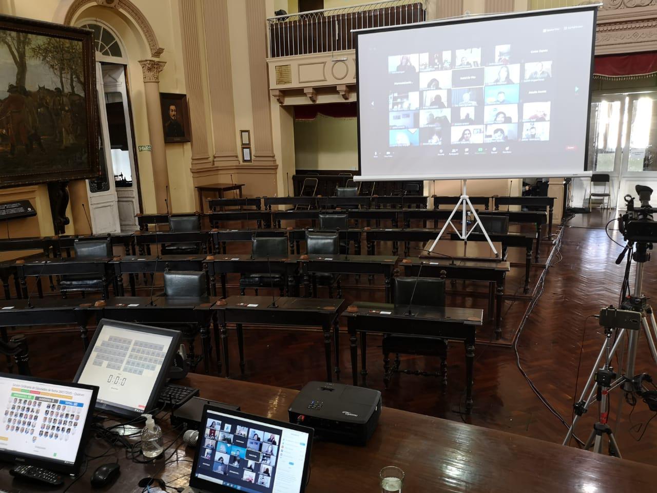 sesion virtual diputados
