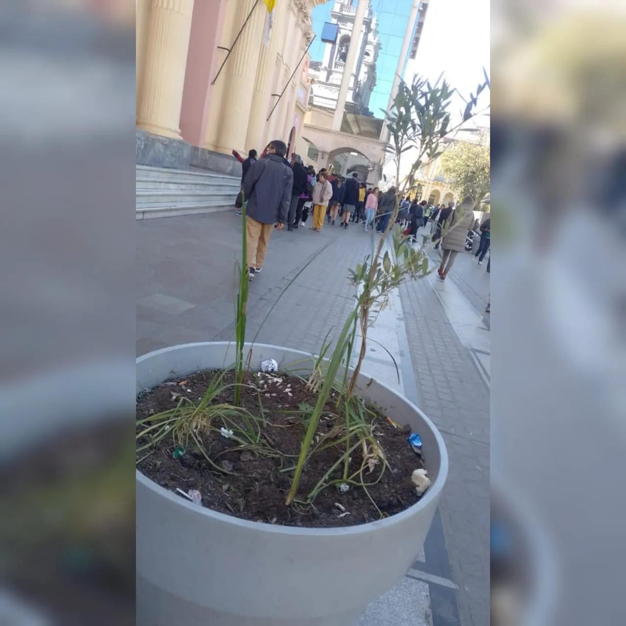 WhatsApp Image 2023-07-31 at 11.52.03