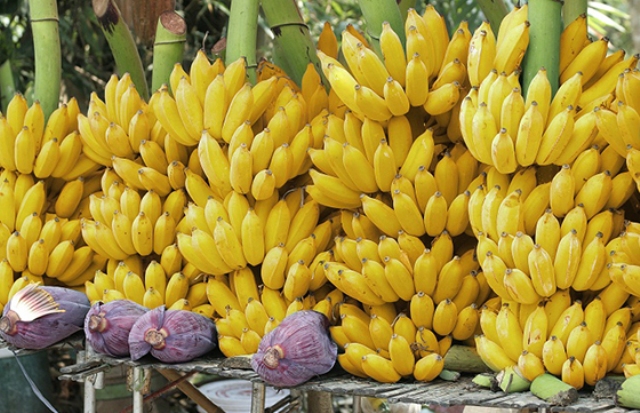 banana
