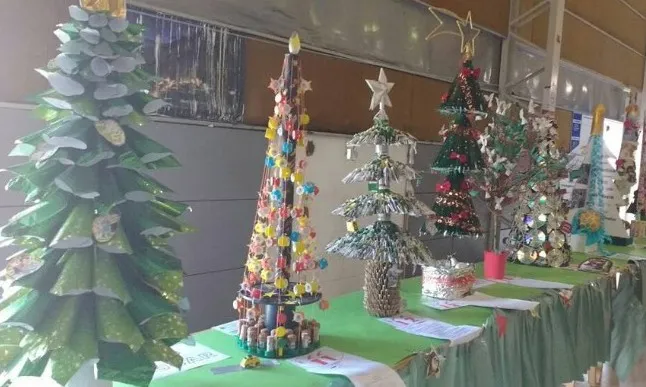 concurso arbol