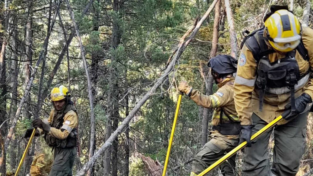 100148-continua-la-cooperacion-de-salta-en-el-combate-de-incendios-forestales-en-rio-negro