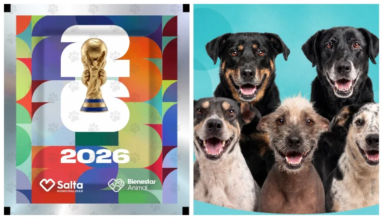 perrritos mundialistas