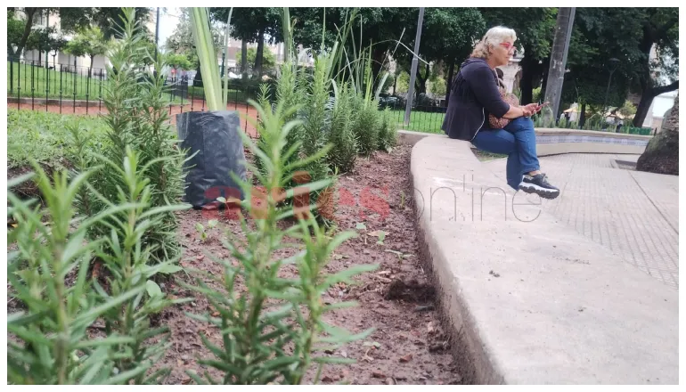 romero en plaza 9 de julio