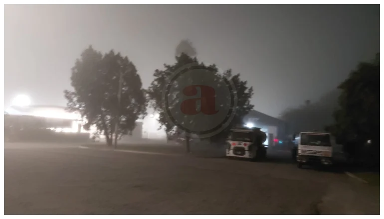 niebla salta (2)