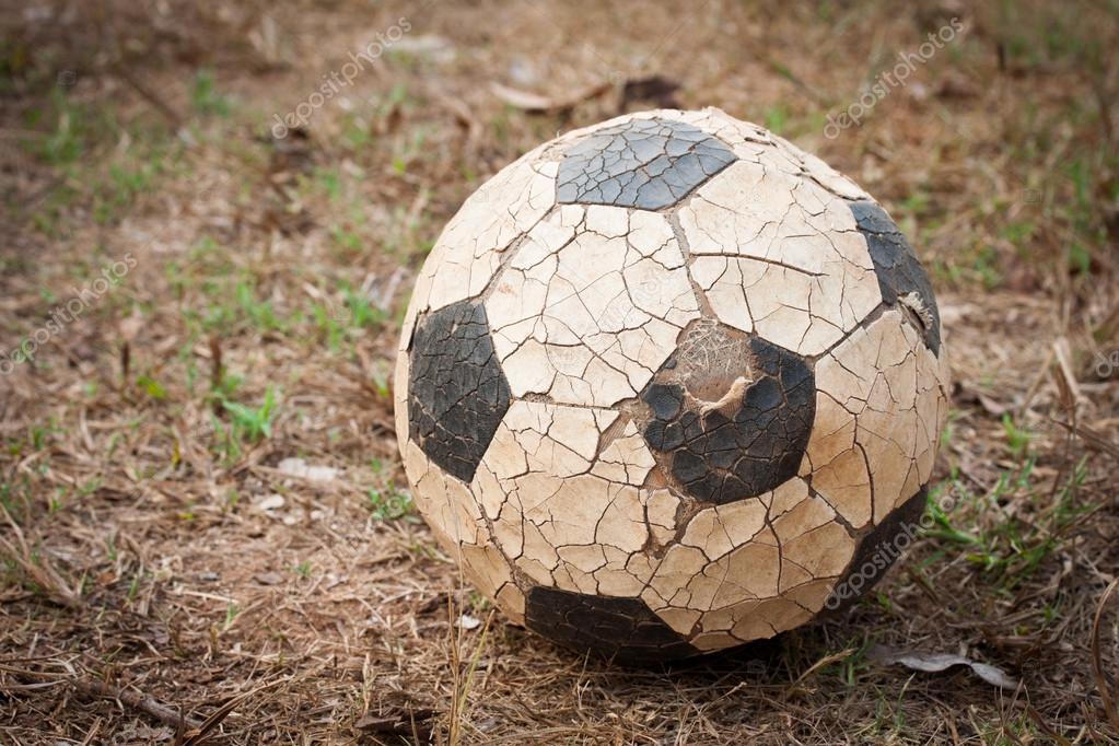 pelota