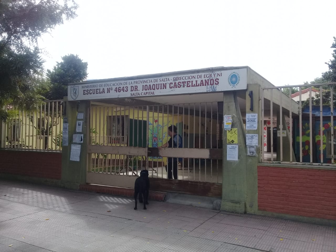 esc castellanos