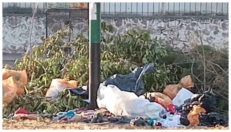 microbasural zona norte