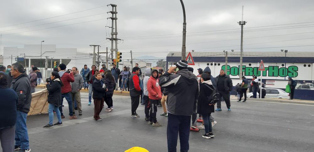 manifestacion cofruthos