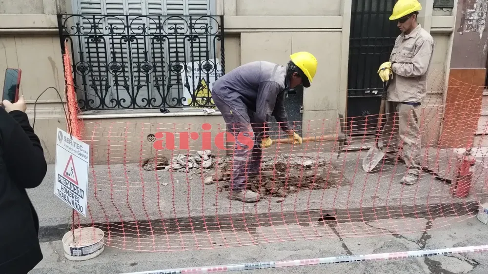 WhatsApp Image 2024-11-19 at 13.31.06