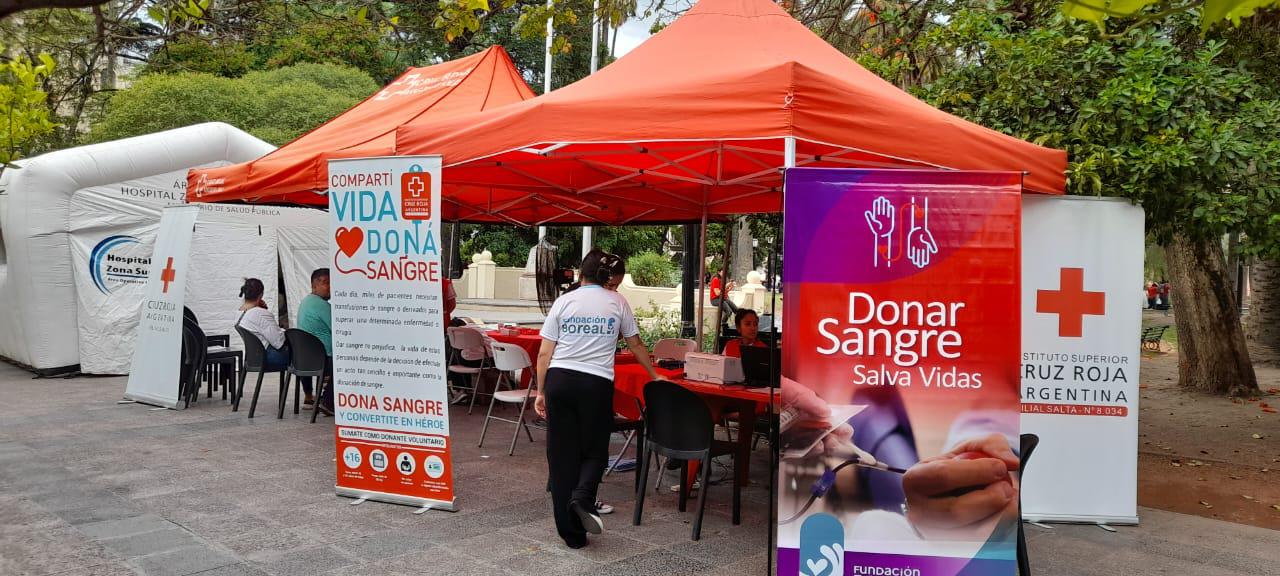 WhatsApp Image 2022-12-15 at 12.23.16