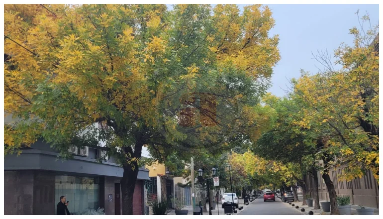 OTOÑO SALTA 2026