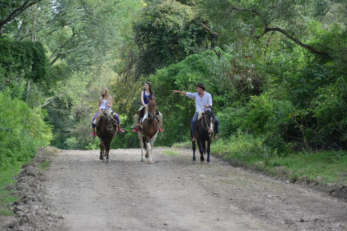 17-930758-resizedDSC4753