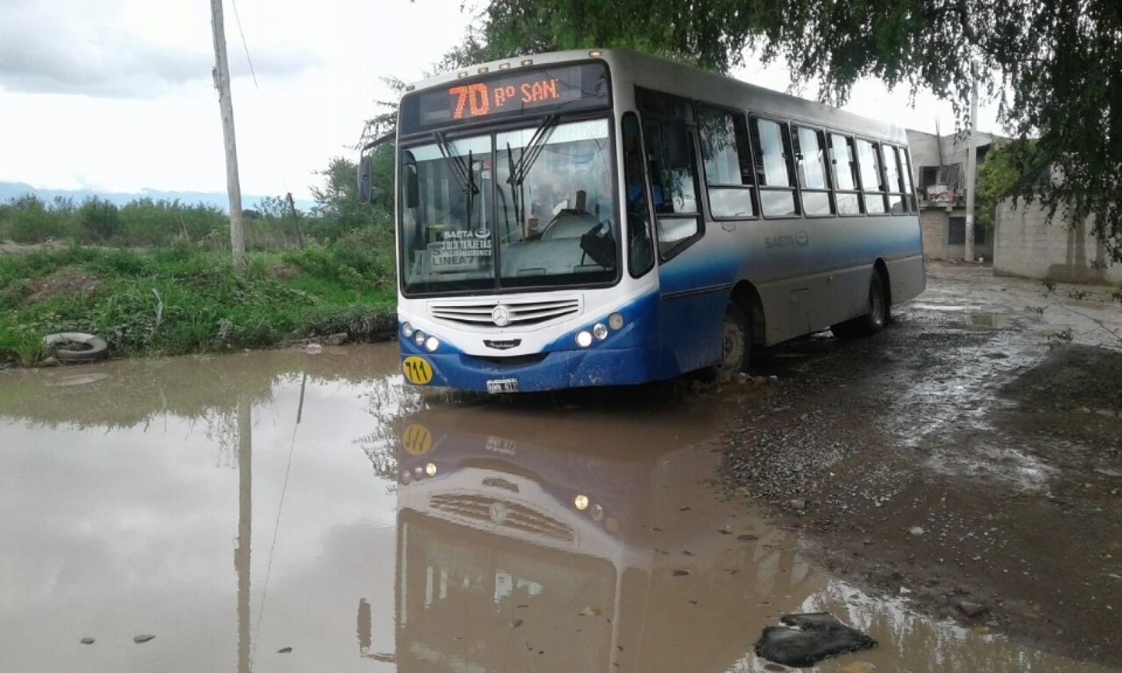 colectivos