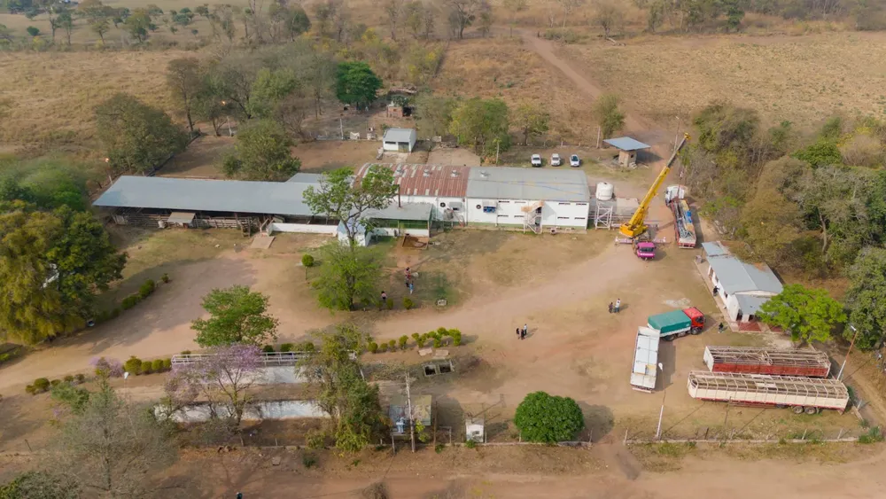 matadero municipal tartagal