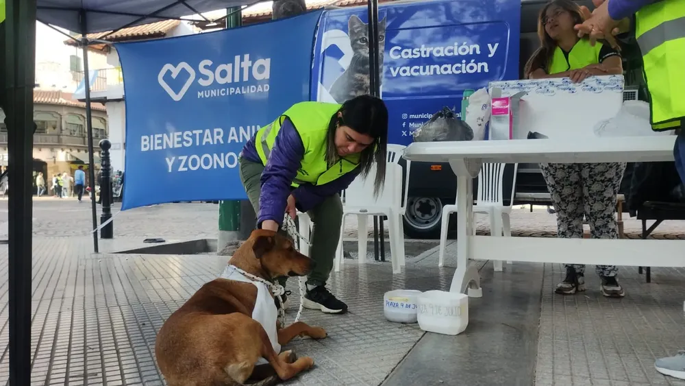 WhatsApp Image 2024-09-13 at 09.28.22