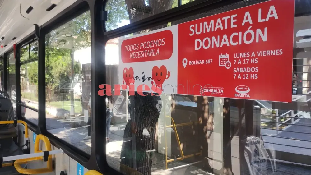 WhatsApp Image 2024-11-04 at 10.21.52