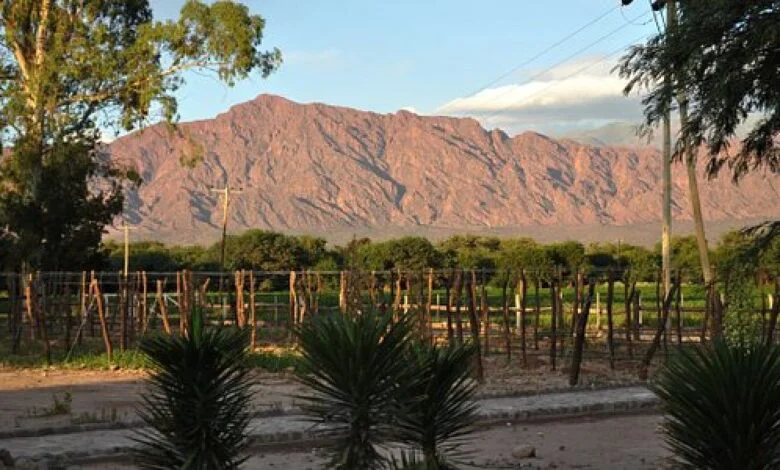 81010-con-un-credito-del-bid-se-realizaran-mejoras-agricolas-en-san-carlos-780x470
