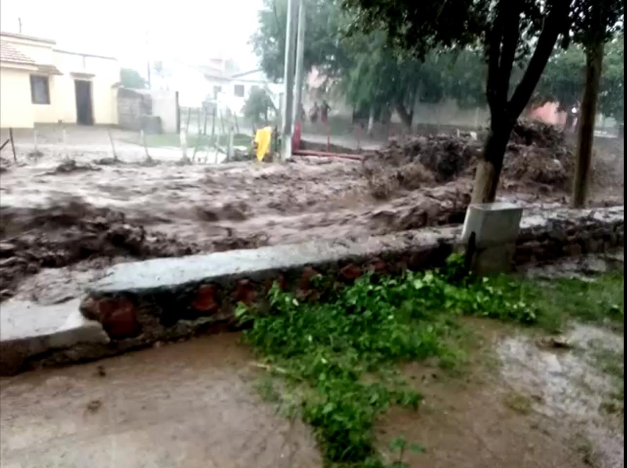 beb5406d-2ecc-4d95-a8f3-6d6b61b69676